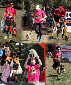 I Liga Canicross Mascocas Gran Premio PICEMAR, reportaje fotográfico