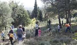 Riego de emergencia en el entorno de la Magdalena para el 24 de abril