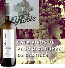 Cata de vinos de una gran selección de la bodega Pago D.O. tierra de Castilla