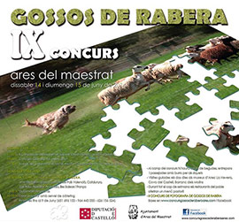 Ares celebrará los días 14 y 15 de junio una nueva edición del concurso de perros pastores