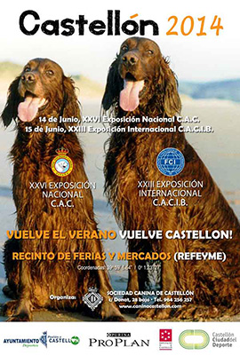 XXVI Exposición Nacional Canina y XXIII Exposición Internacional de Castellón