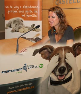 Nueva campaña contra el abandono animal con un concurso en facebook