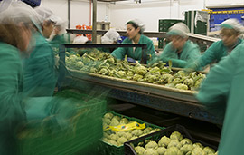 Concesión de la marca ‘Castelló, Ruta de Sabor’ a una quincena de productos