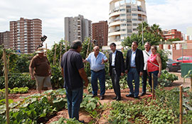 Castellón contará con un huerto urbano para los vecinos en cada uno de los distritos de la ciudad