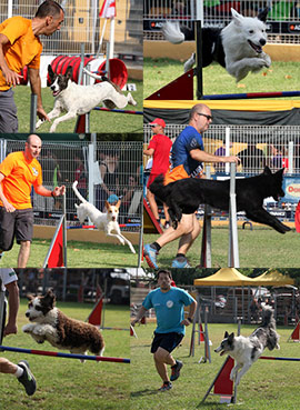 I-II Prueba de agility puntuable de la Real Sociedad Canina Española