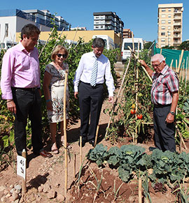Huerto Urbano para Mayores 'Perot de Granyana' en Castellón