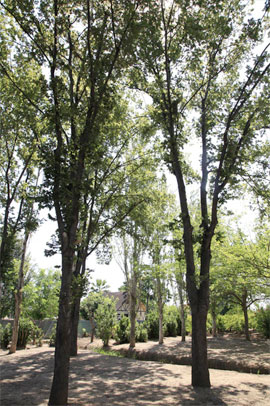 Imágenes del Parque del Meridiano de Castellón