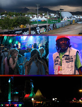 Los colores del Rototom Sunsplash 2014 de Benicàssim