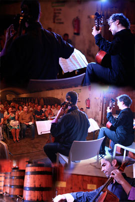 José Luís Ruiz del Puerto y Guillermo Pastrana en concierto en las Bodegas Carmelitano