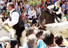 Entrada de Toros y Caballos de Segorbe