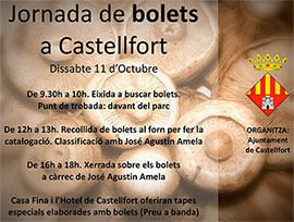 Jornada dedicada a las setas en Castellfort