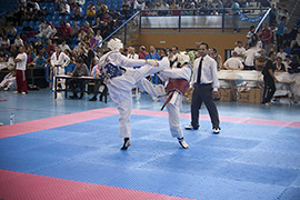 IX Open Internacional de Taekwondo en Benicàssim