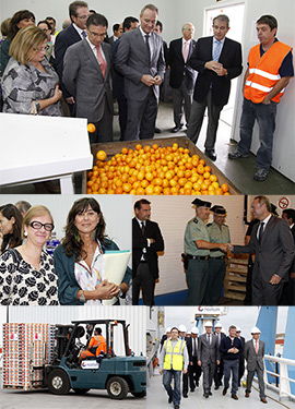 Primer barco de clementinas de los exportadores de Castellón con destino a Estados Unidos