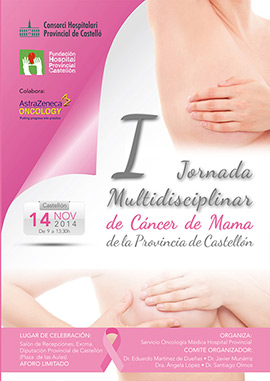 Programación de las Jornadas sobre el cáncer de mama en la Diputación de Castellón