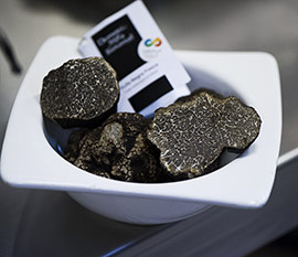 IV Jornadas Gastronómicas de la Trufa del 16 de enero al 15 de marzo