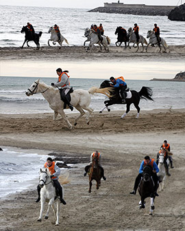 Carrera de caballos y burros en la Playa de La Concha de Oropesa