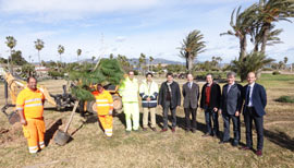 35 pinos piñoneros se plantan en el Parque Litoral de Castellón