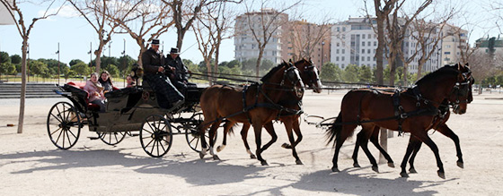 Festividad de Sant Antoni en Castellón