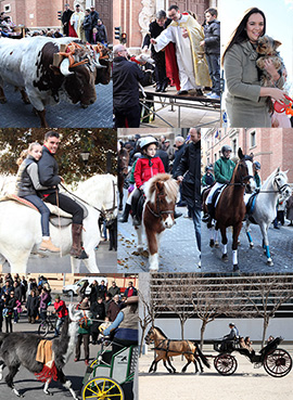 Festividad de Sant Antoni en Castellón