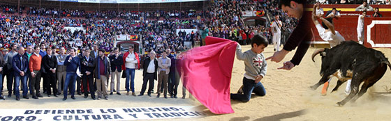 Manifestación taurina en Castellón