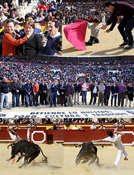 Manifestación taurina en Castellón