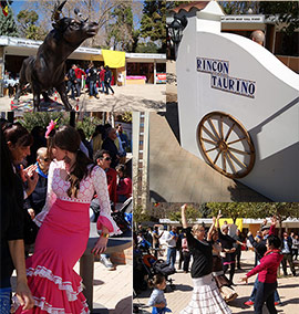 El Rincón Taurino de Castellón en las fiestas de la Magdalena