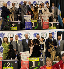 Finaliza la exhibición canina internacional celebrada este fin de semana en la Ciudad de Vacaciones