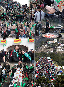 Romería de las Cañas Magdalena 2015