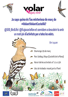Descubre este domingo las aves migratorias “misteriosas” de Castellón