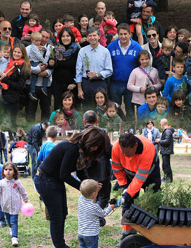 Nueva plantación de árboles en el Pinar