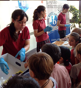 Mercadillo Gastronómico Solidario en Lledó International School