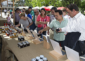La Diputación de Castellón impulsará ferias comerciales como reclamo turístico