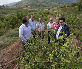 La Diputación de Castellón impulsa el desarrollo de la agricultura ecológica