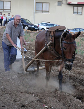 La Feria de los Oficios de Benassal consigue gran participación de los vecinos