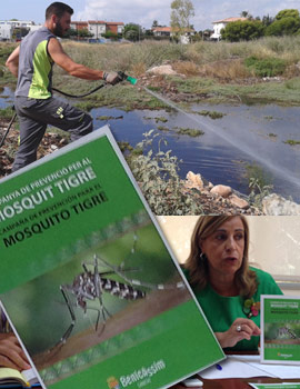 Tel: 628 418 305 . Un teléfono a disposición de los vecinos de Benicàssim para alertar de la proliferación de mosquitos