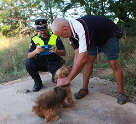 La Concejalía de Salud Pública y la Policía Local elaborarán un mapa de abandono de animales