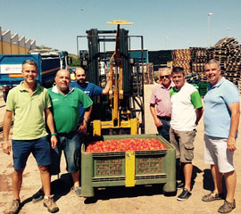 La Llosa abastece con 159.000 toneladas de tomate a la Tomatina de Bunyol