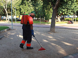 Castellón sustituye un herbicida químico por un producto natural no tóxico como tratamiento en parques y plazas