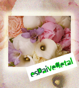 Espai Vegetal te propone flores de color crema, pastel, rosa,.. para las bodas de 2016