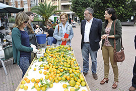 La Fira de la Taronja de Castellón en las Jornadas Gastronómicas POP