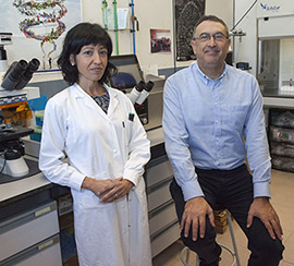 La UJI patenta nuevos compuestos anticancerígenos de baja toxicidad