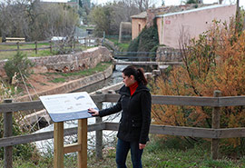 Mejora integral en el Molí la Font de Castellón