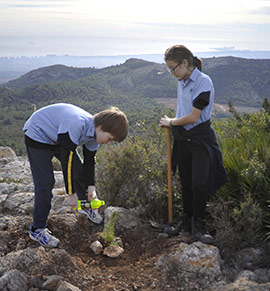 Plantación de 400 pinos y encinas en la Magdalena en el Día del Árbol