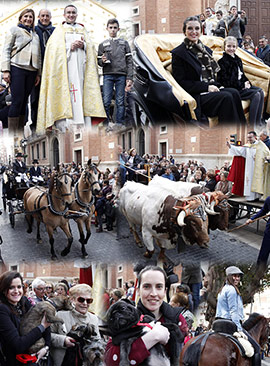 Celebración de San Antonio en Castellón