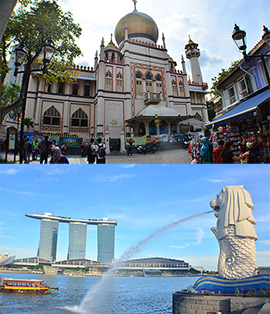 Vuelta al mundo sabrosa, top 5 visitas Singapur