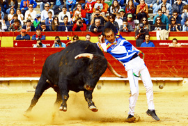 Este domingo en Castellón el mejor recortador de la historia el concurso de recortes Dioses en La Arena