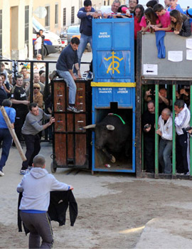 Fiestas de San Vicente en La Llosa