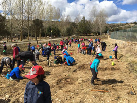 El día del árbol en Vilafranca