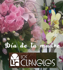 Preciosas flores de mayo para felicitar a tu madre