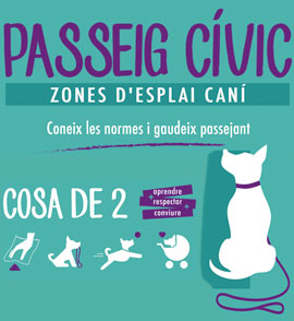 Nueva campaña de paseos cívicos con perros en Castellón